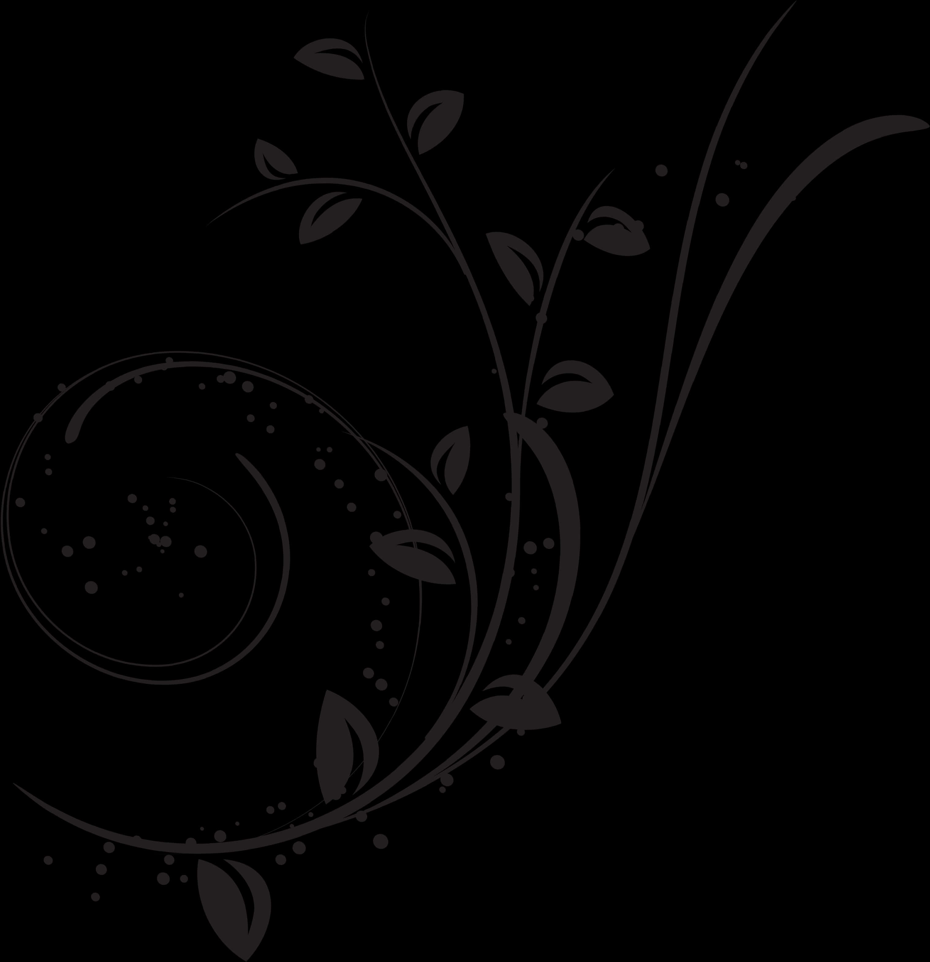 Elegant Black Swirl Design PNG Image