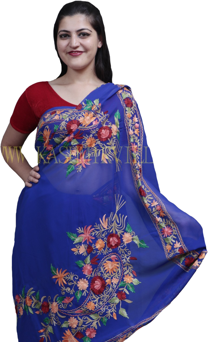 Elegant Blue Embroidered Saree Model PNG Image