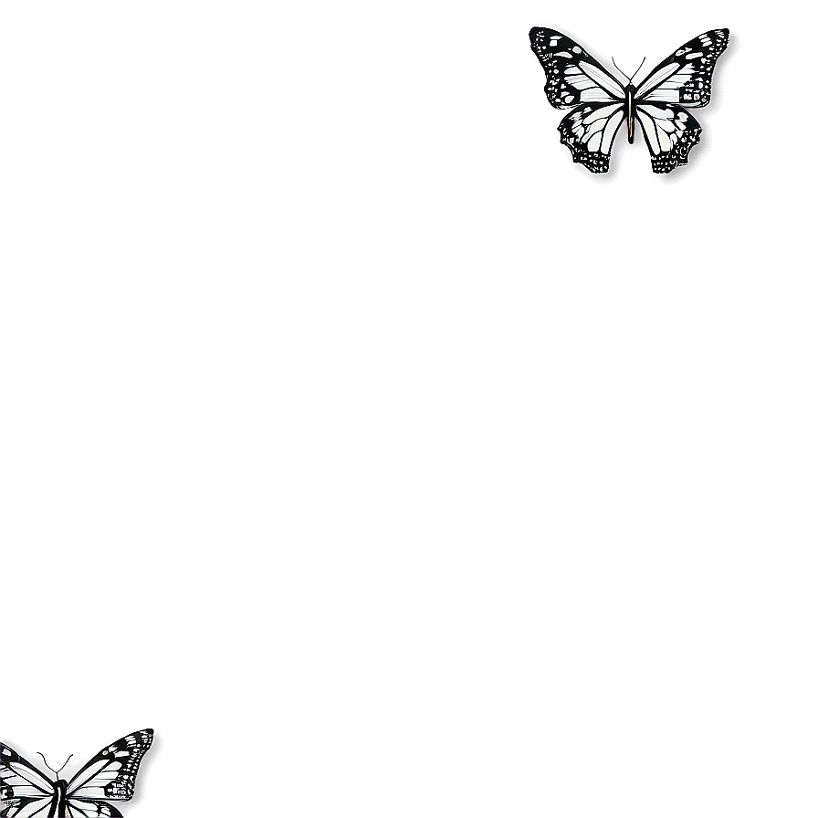 Elegant Butterfly Outline Png Eik PNG Image