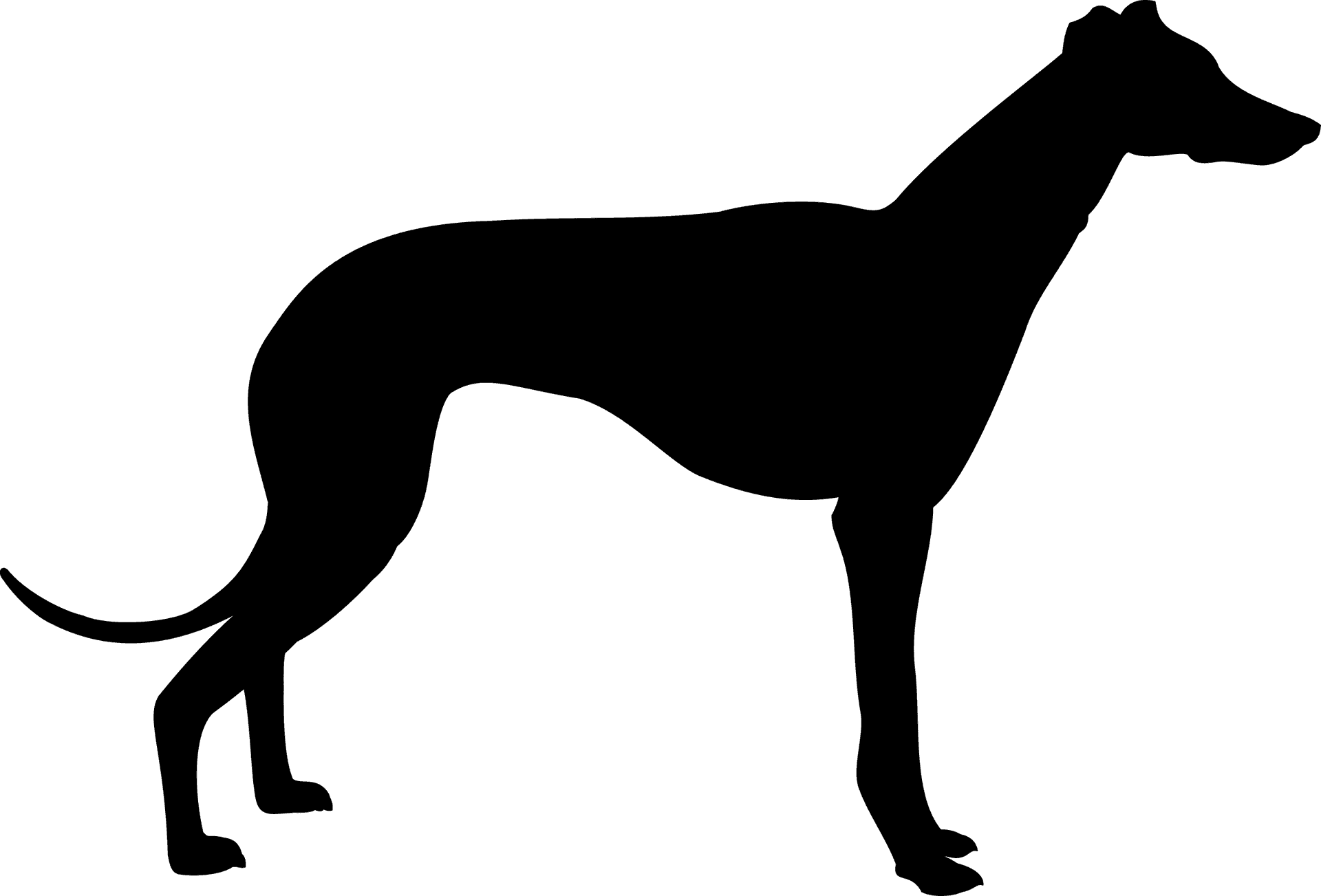 Elegant Canine Silhouette PNG Image