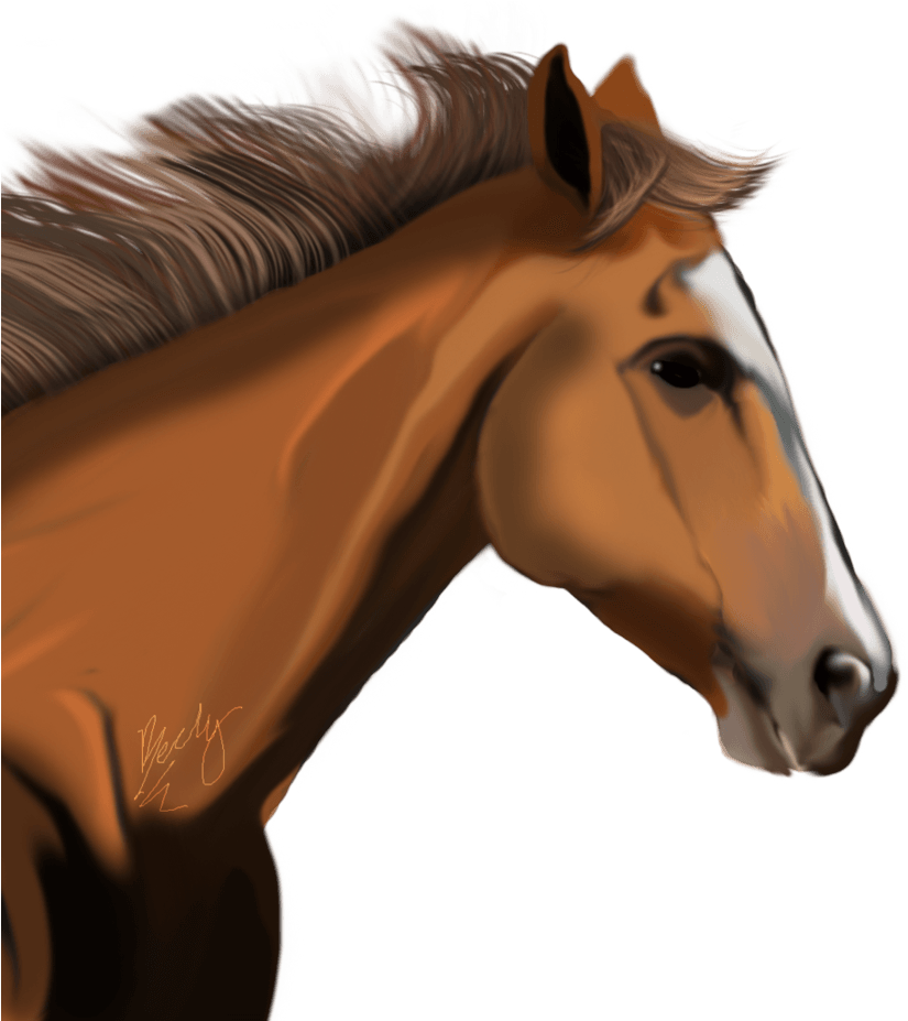 Elegant Chestnut Horse Portrait PNG Image