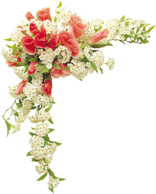 Elegant Corner Flower Design.png PNG Image