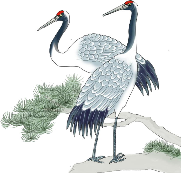 Elegant Cranes Illustration PNG Image