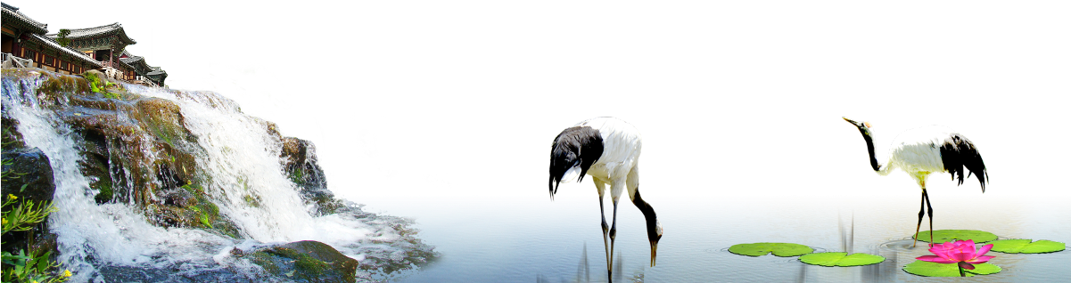 Elegant Cranes Near Waterfall PNG Image