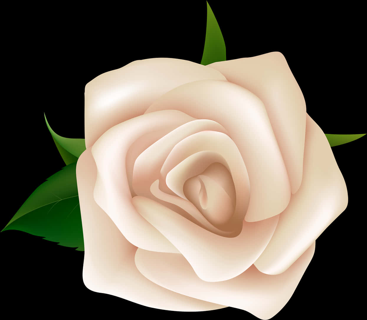 Elegant Cream Rose Illustration PNG Image