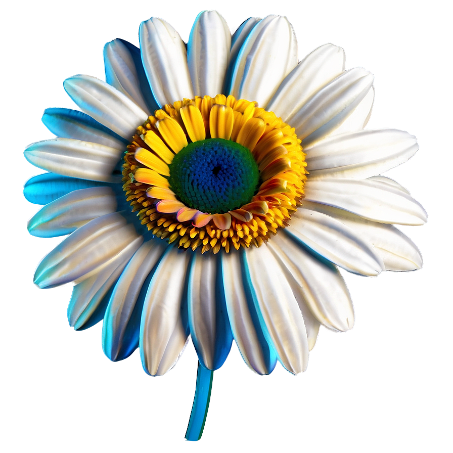 Elegant Daisy Png Oxs PNG Image