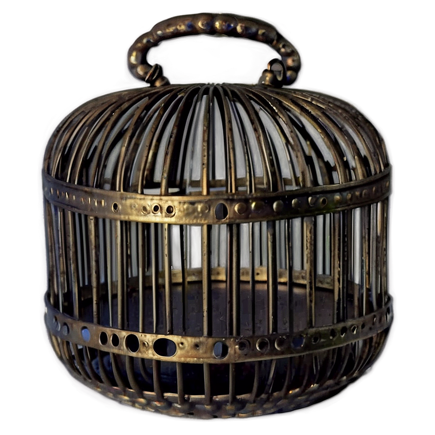 Elegant Decorative Cage Png 70 PNG Image