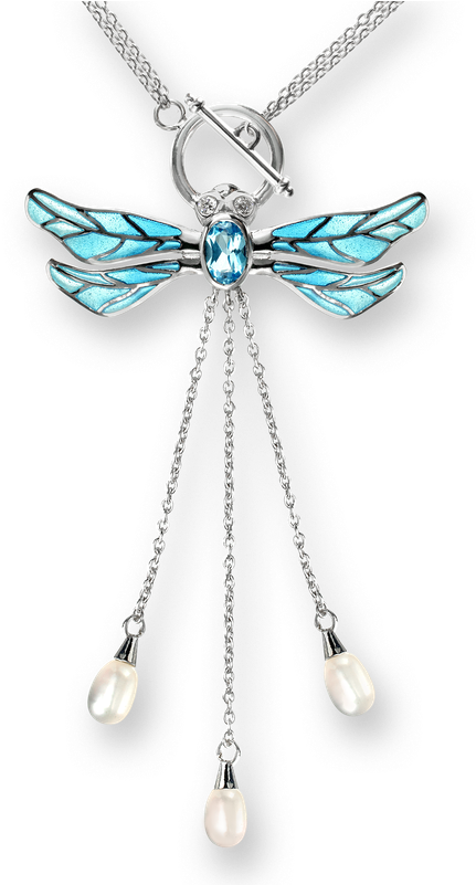 Elegant Dragonfly Pendant Necklace PNG Image