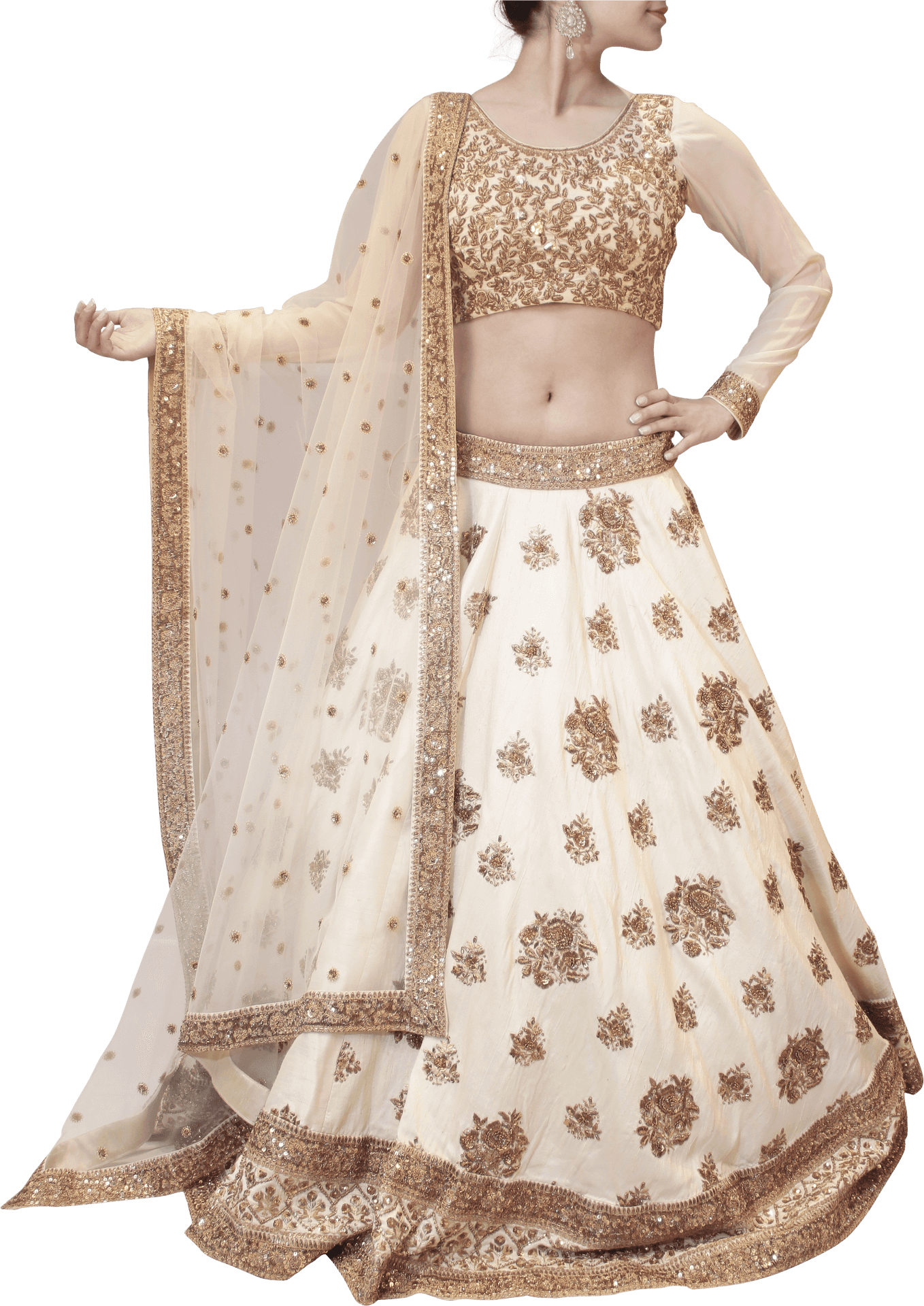 Elegant Embroidered Lehenga Choli PNG Image