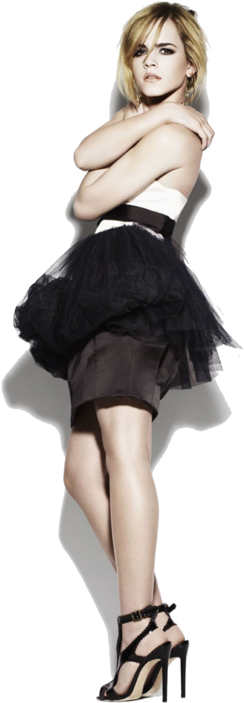 Elegant Emmain Black Tulle Skirt PNG Image