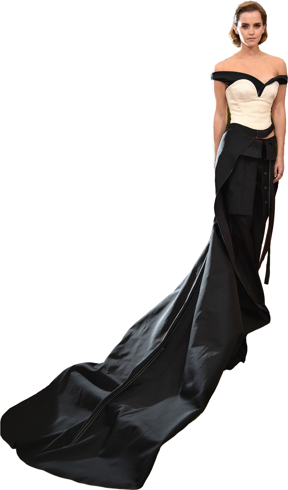 Elegant Evening Gown Portrait PNG Image