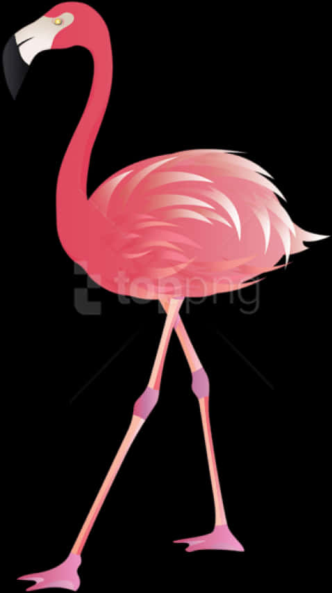 Elegant Flamingo Illustration PNG Image