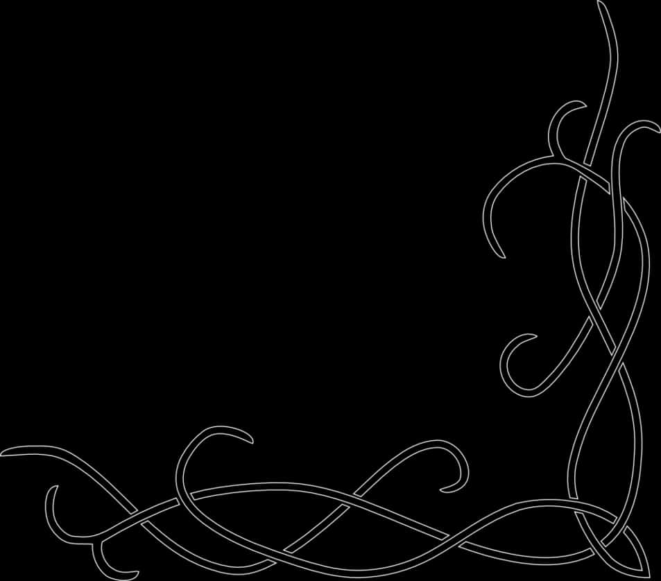 Elegant_ Floral_ Border_ Design PNG Image