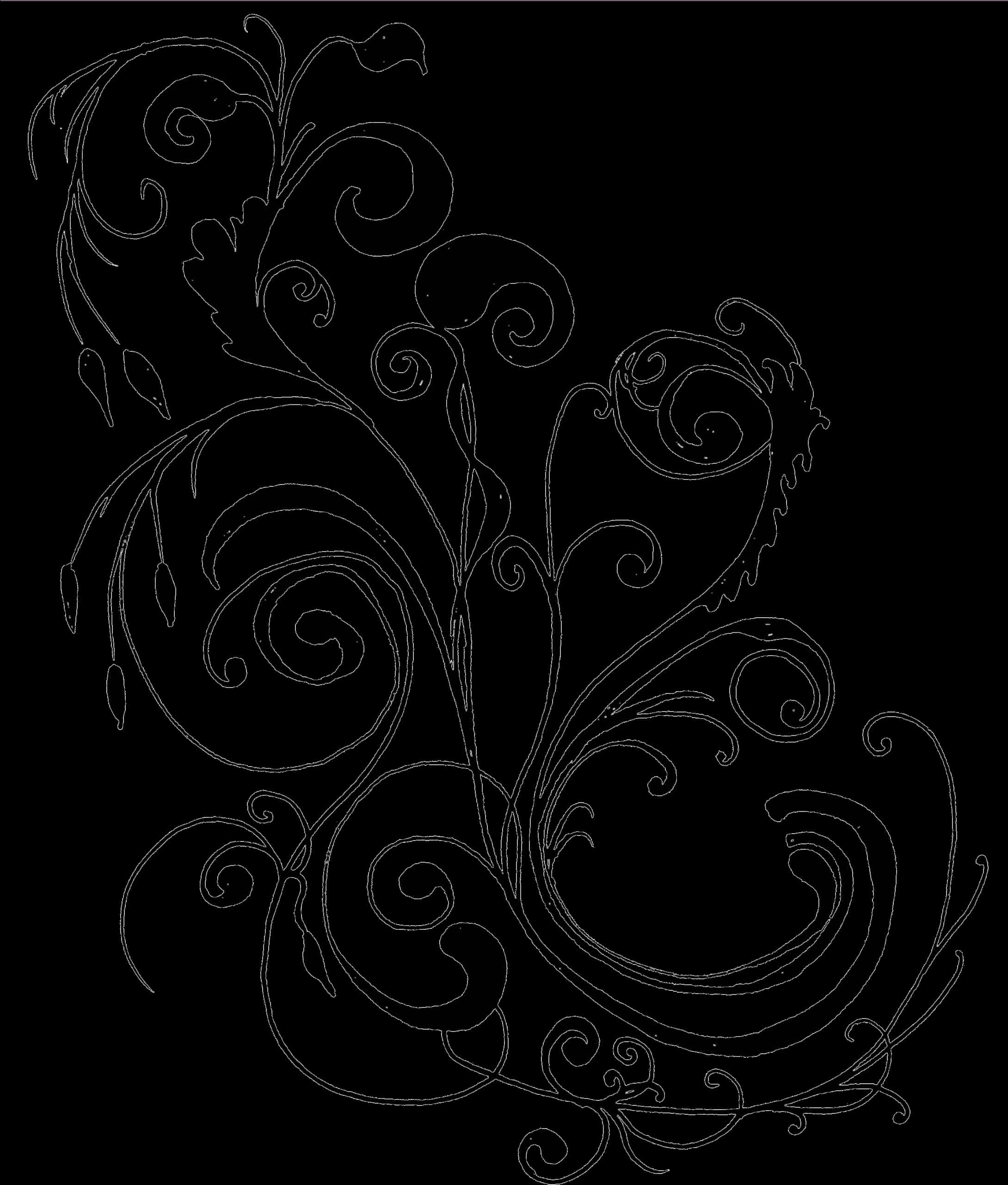 Elegant Floral Border Design PNG Image