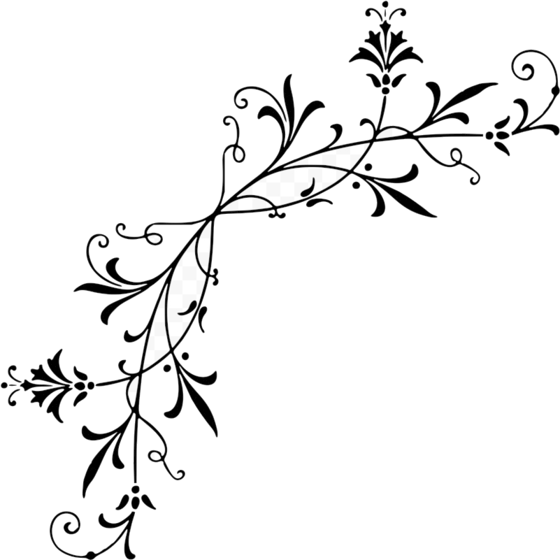 Elegant Floral Corner Design PNG Image