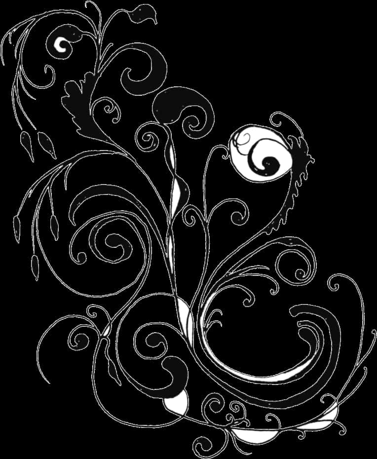 Elegant Floral Design Black Background PNG Image