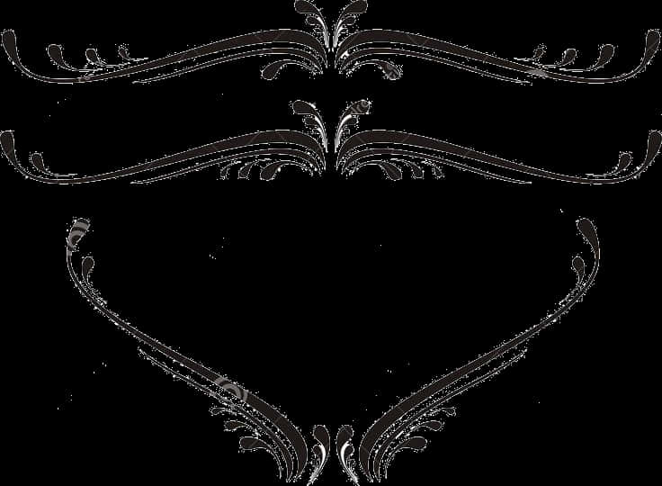 Elegant Floral Frame Design PNG Image