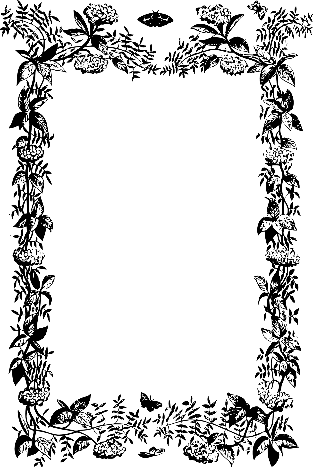 Elegant Floral Frame Design PNG Image