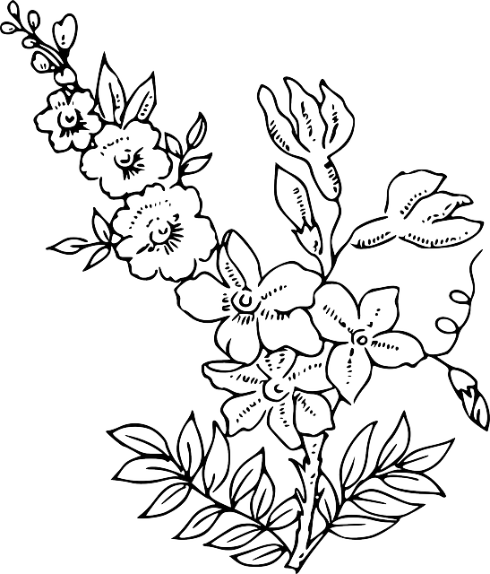 Elegant Floral Outline Artwork PNG Image