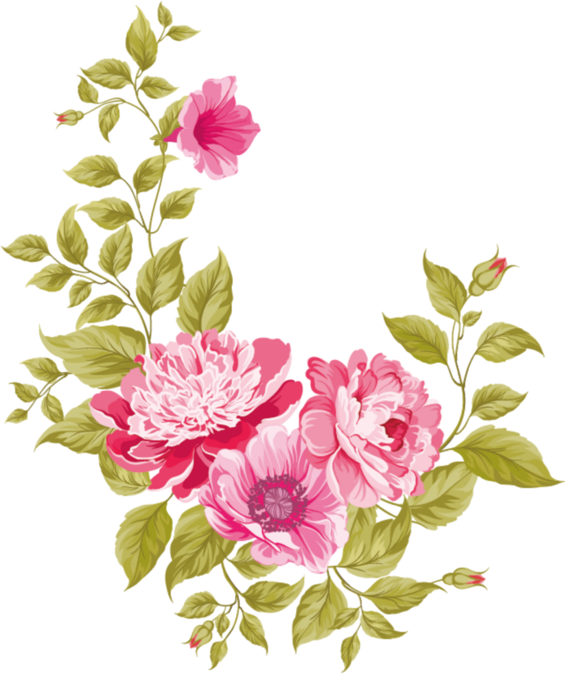 Elegant Floral Vector Design PNG Image