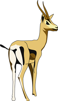 Elegant Gazelle Illustration PNG Image