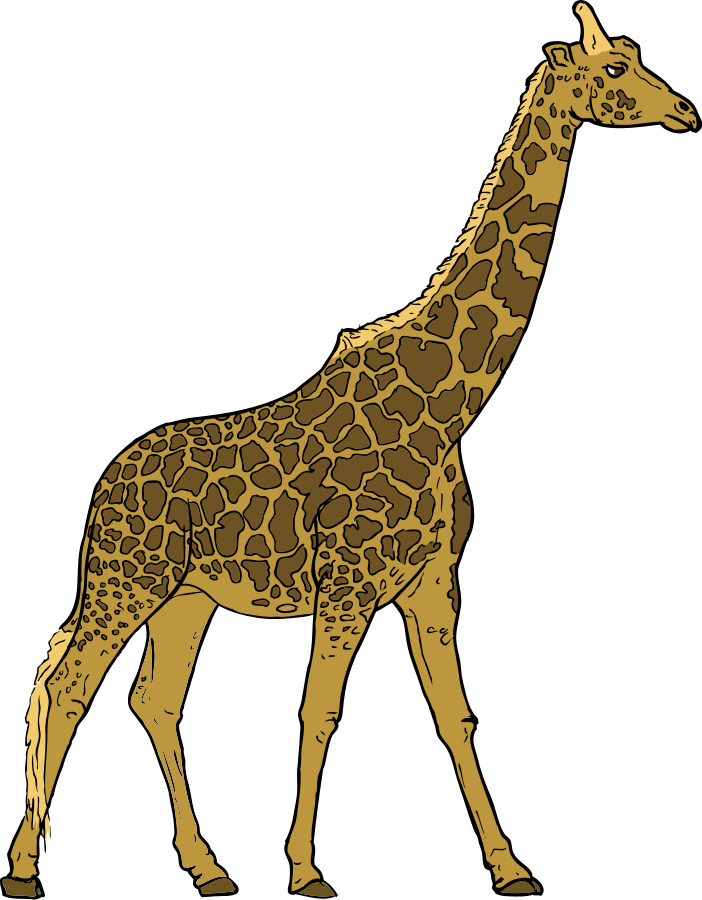 Elegant Giraffe Standing Profile PNG Image