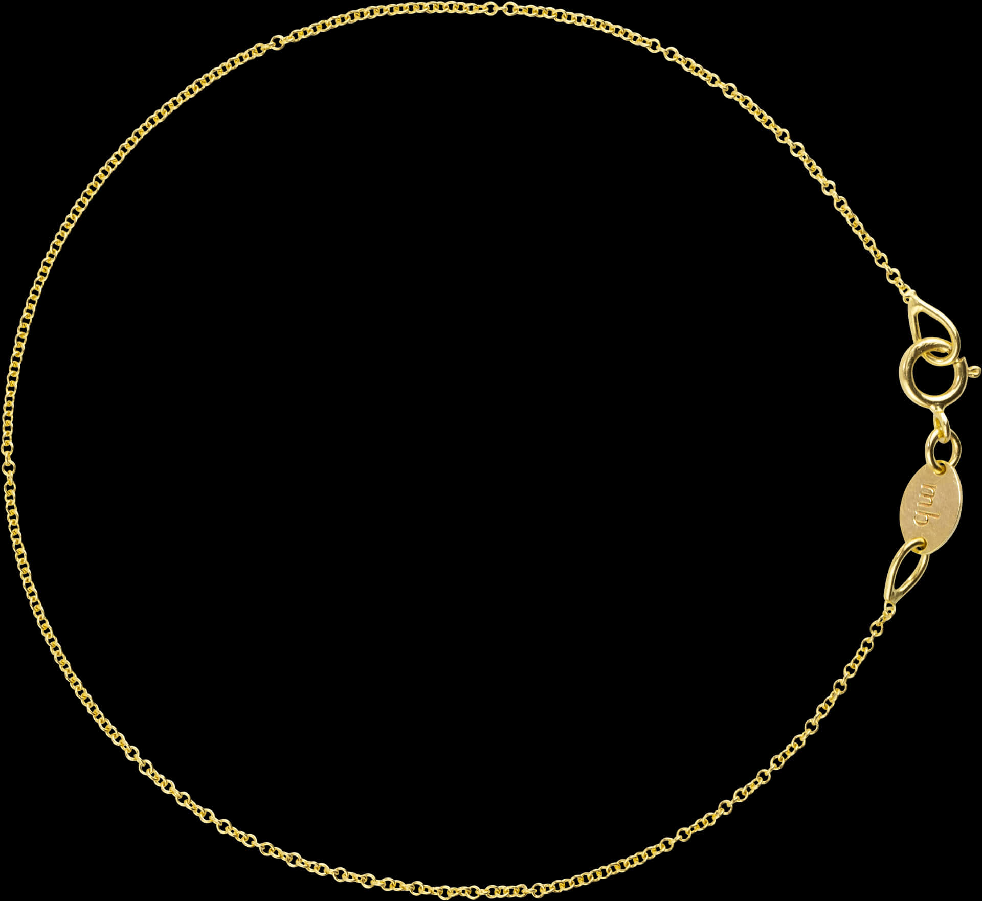 Elegant Gold Chain Black Background PNG Image