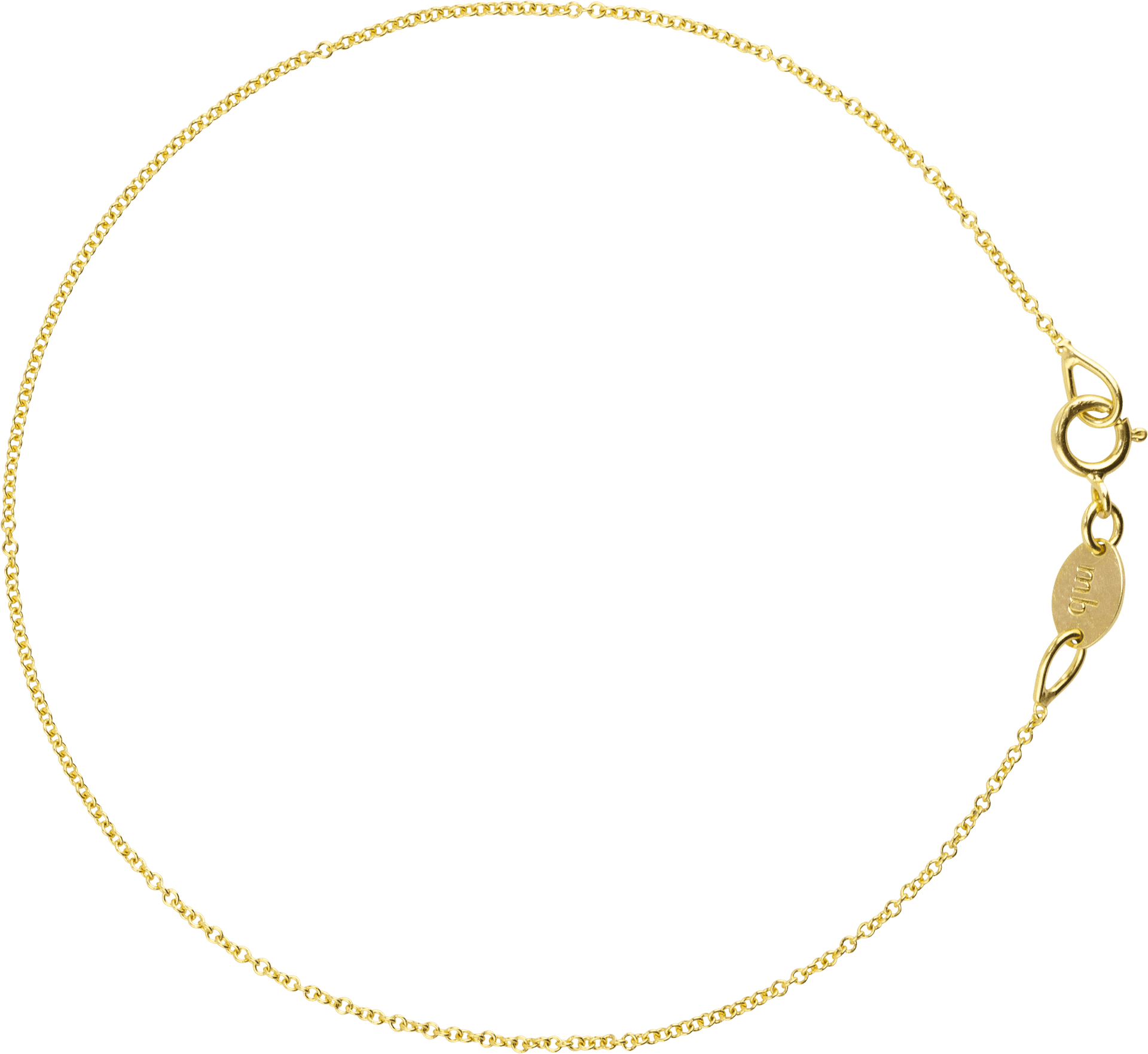 Elegant Gold Chain Isolated PNG Image