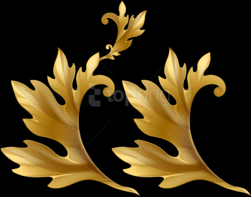 Elegant Golden Floral Design PNG Image