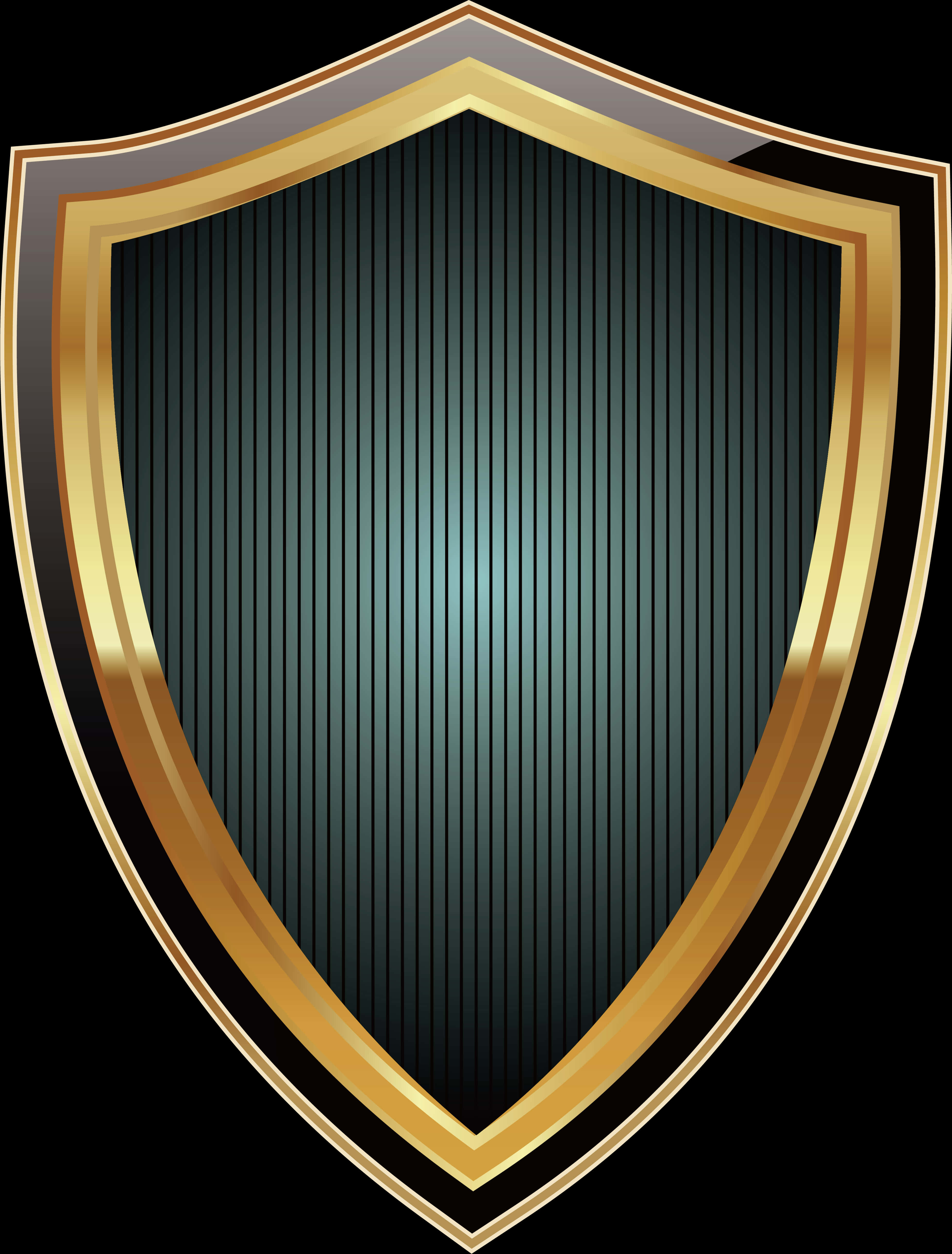 Elegant Golden Trimmed Shield PNG Image