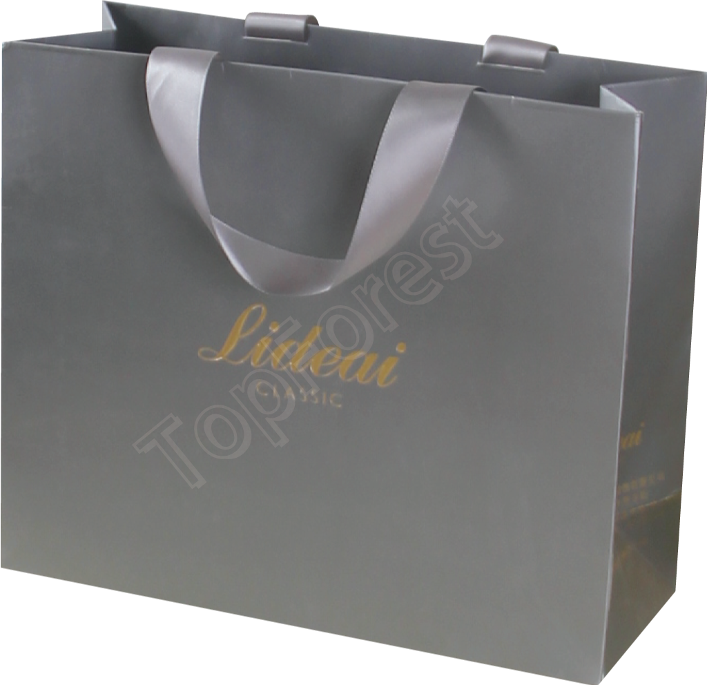 Elegant Gray Paper Shopping Bag PNG Image