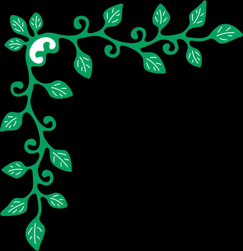 Elegant Green Floral Wedding Border Design PNG Image