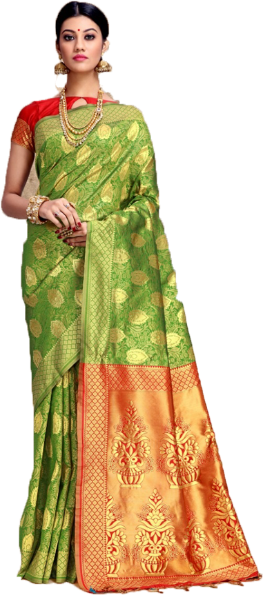 Elegant Green Sareewith Orange Border PNG Image