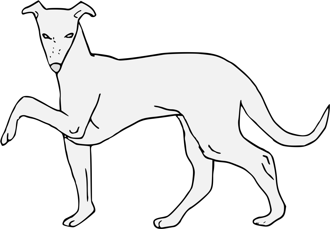 Elegant Greyhound Standing PNG Image