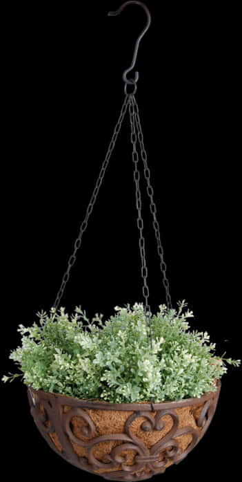 Elegant Hanging Planter With Flowers PNG Image