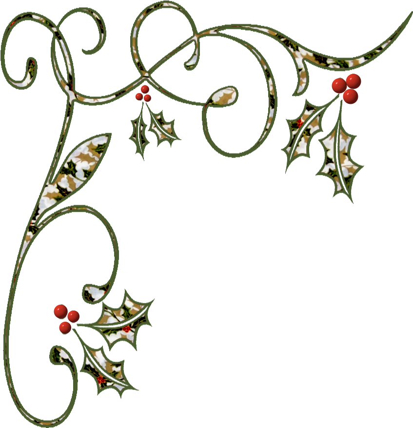 Elegant Holly Scroll Clipart PNG Image