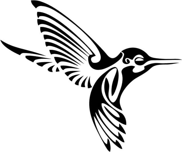 Elegant Hummingbird Silhouette PNG Image