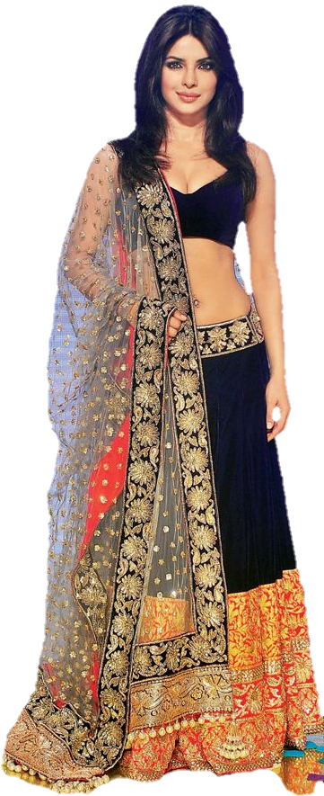 Elegant Lehenga Choli Design PNG Image