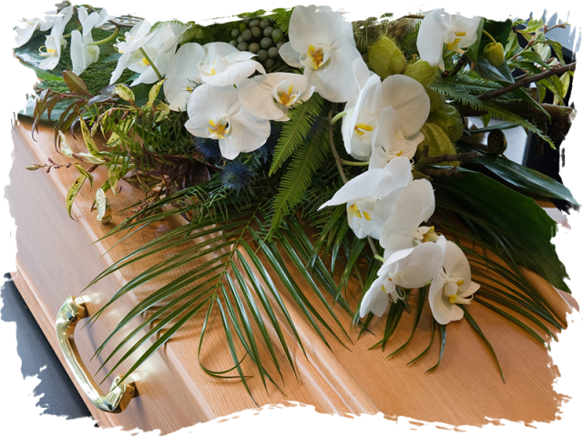 Elegant Orchid Funeral Casket PNG Image