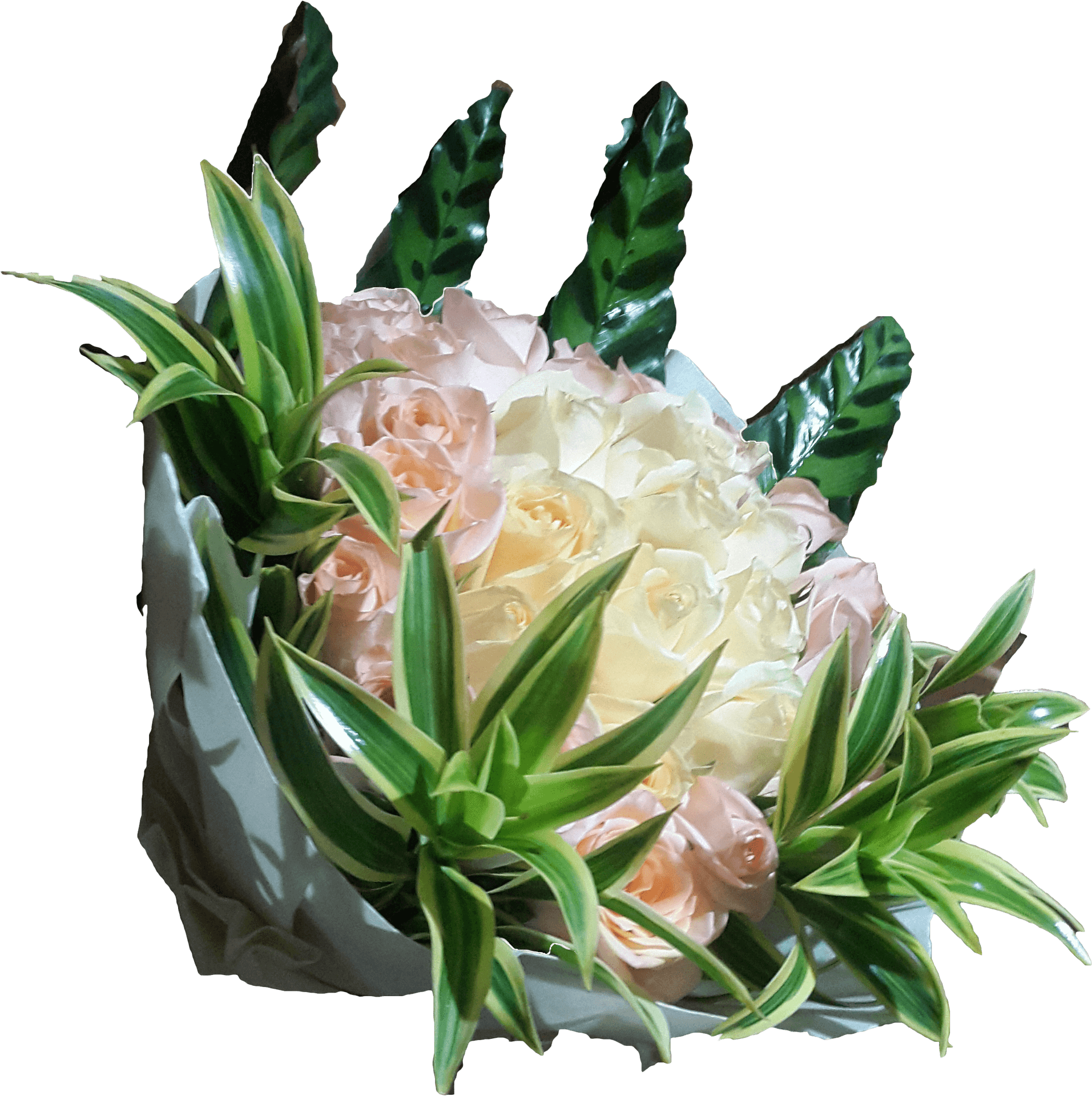 Elegant_ Pastel_ Rose_ Bouquet.png PNG Image