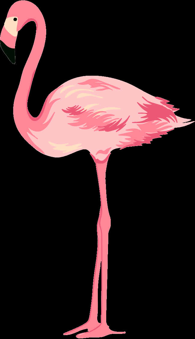 Elegant Pink Flamingo Standing PNG Image