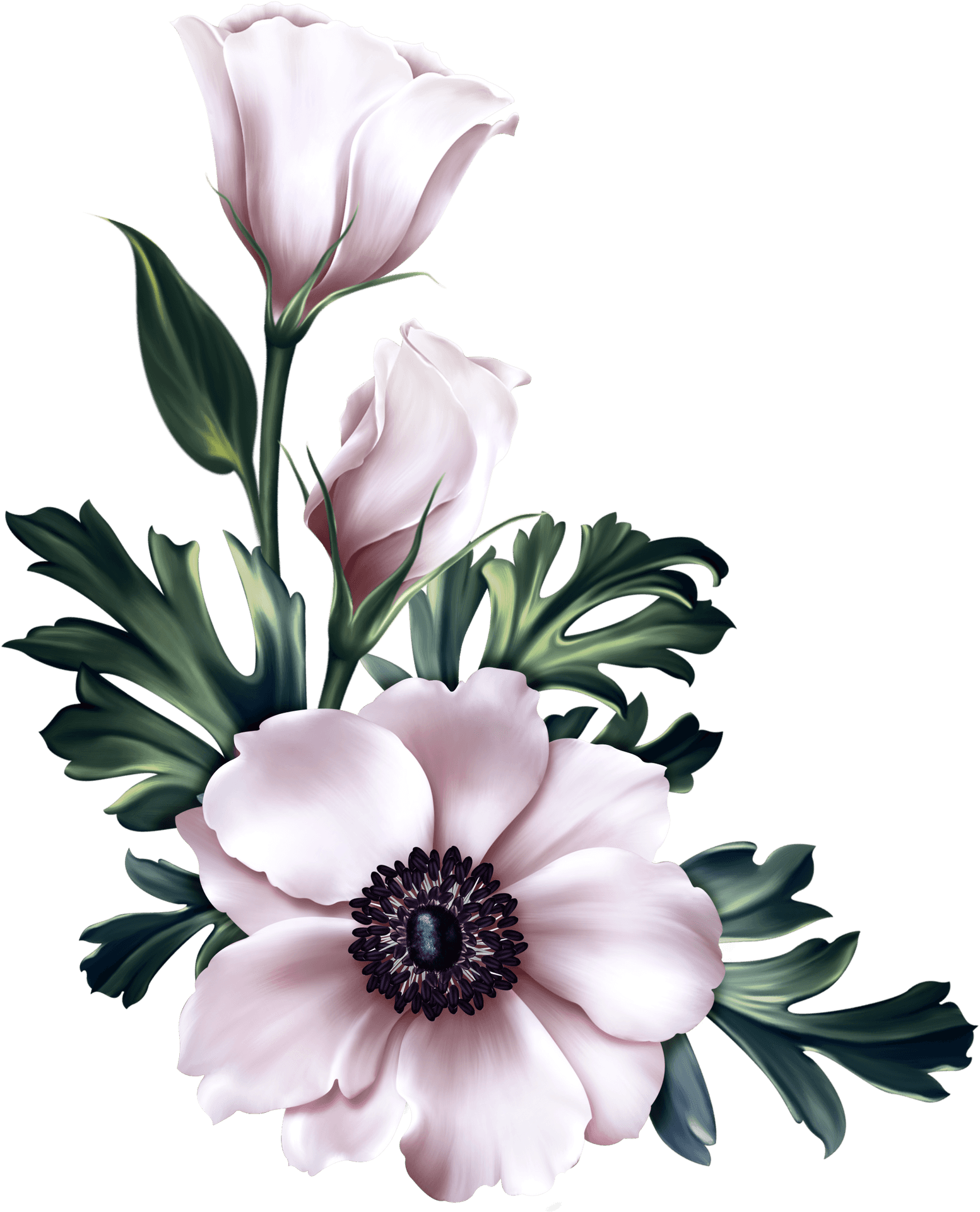 Elegant_ Pink_ Flowers_ Artwork.png PNG Image