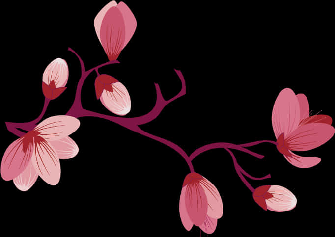 Elegant Pink Flowers Vector Illustration PNG Image