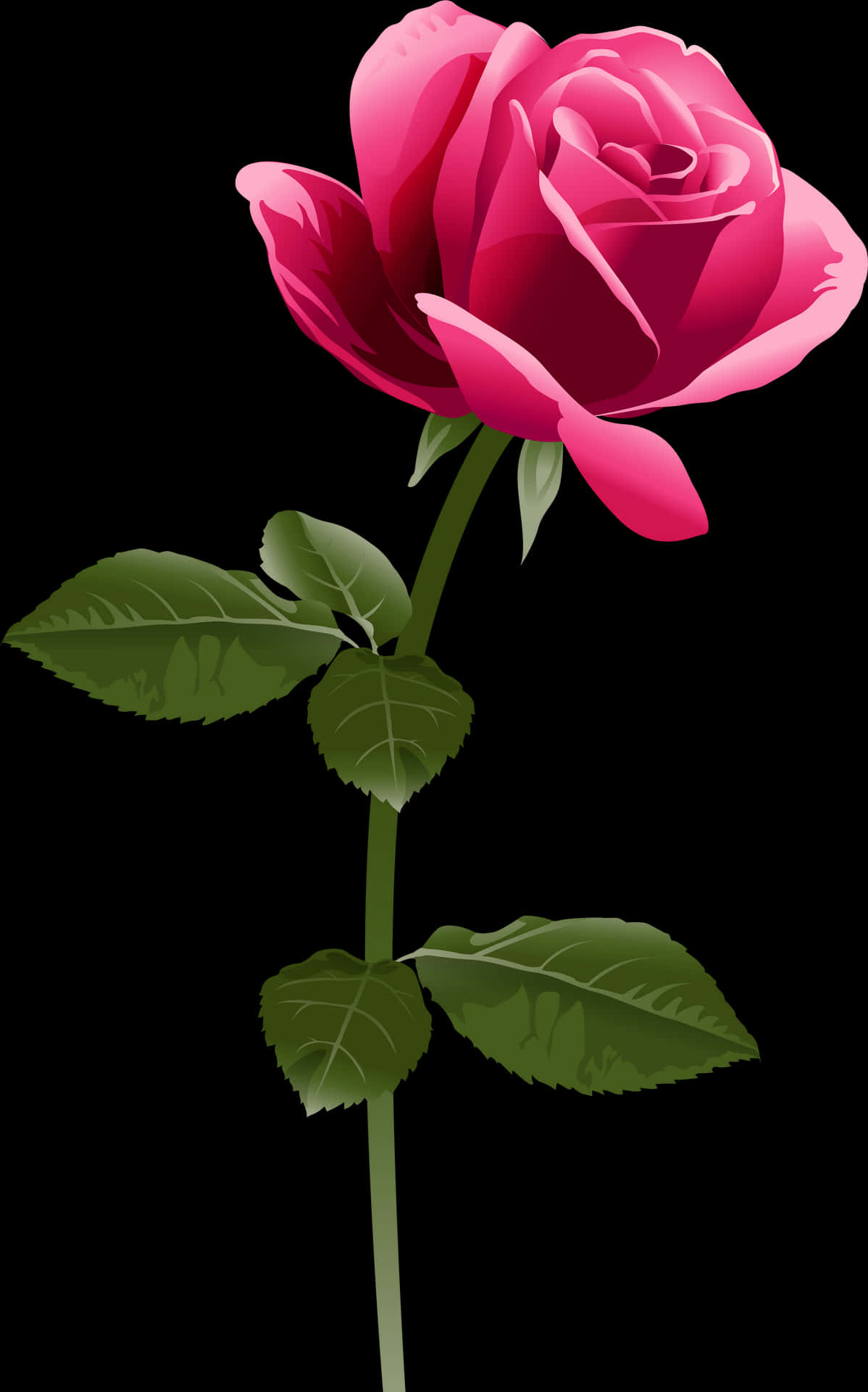 Elegant Pink Rose Vector PNG Image