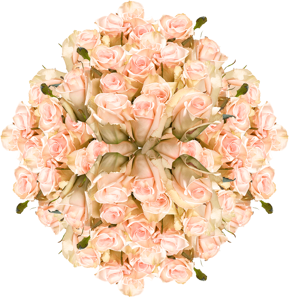 Elegant Pink Roses Bouquet PNG Image