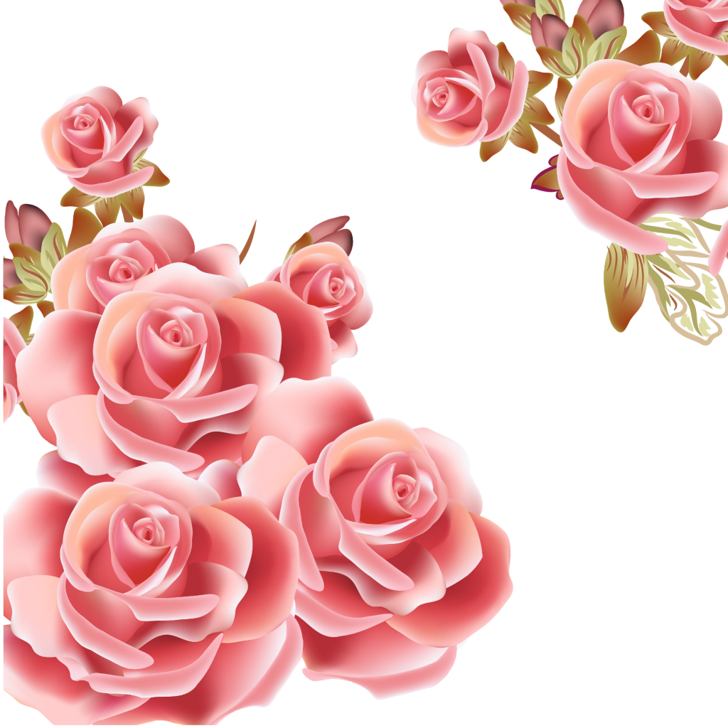 Elegant Pink Roses Cluster PNG Image