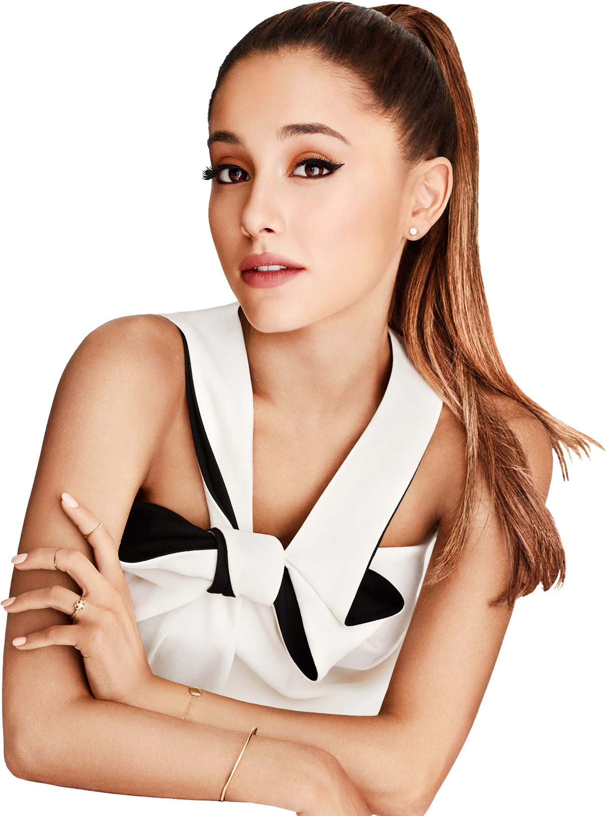 Elegant Ponytail Celebrity Portrait PNG Image