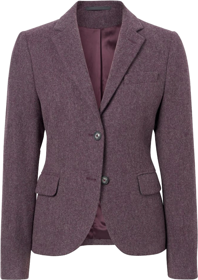 Elegant Purple Wool Blazer PNG Image