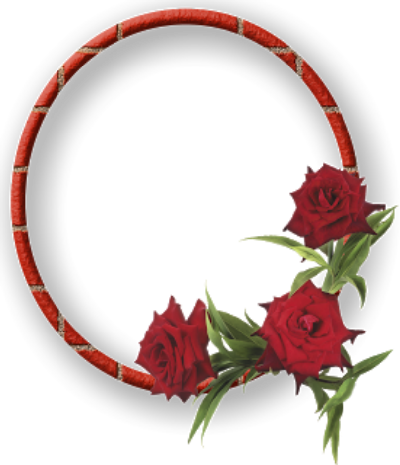 Elegant Red Rose Frame PNG Image