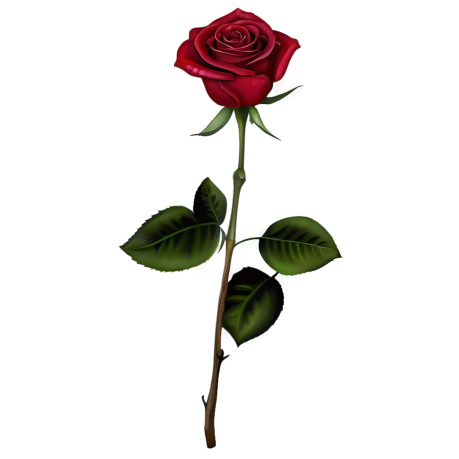 Elegant Red Rose Png Ifh PNG Image